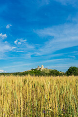 old castle ruins, ruins of szarvasko