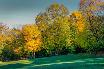 Autumn foliage colors in Vienna public park, Austria