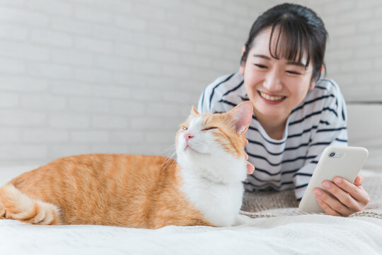 家のベッドルームでペットの猫とスマホで写真を撮って遊ぶアジア人女性
