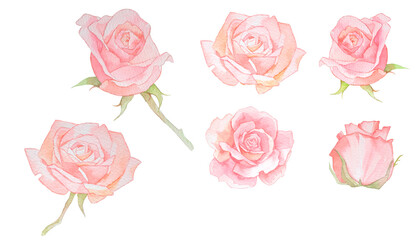 切り抜きできるバラの花の水彩セットイラスト