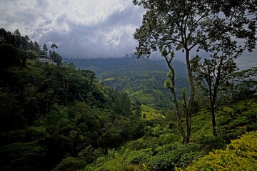 Obraz na płótnie Canvas View from Ramboda Falls Hotel, Sri Lanka
