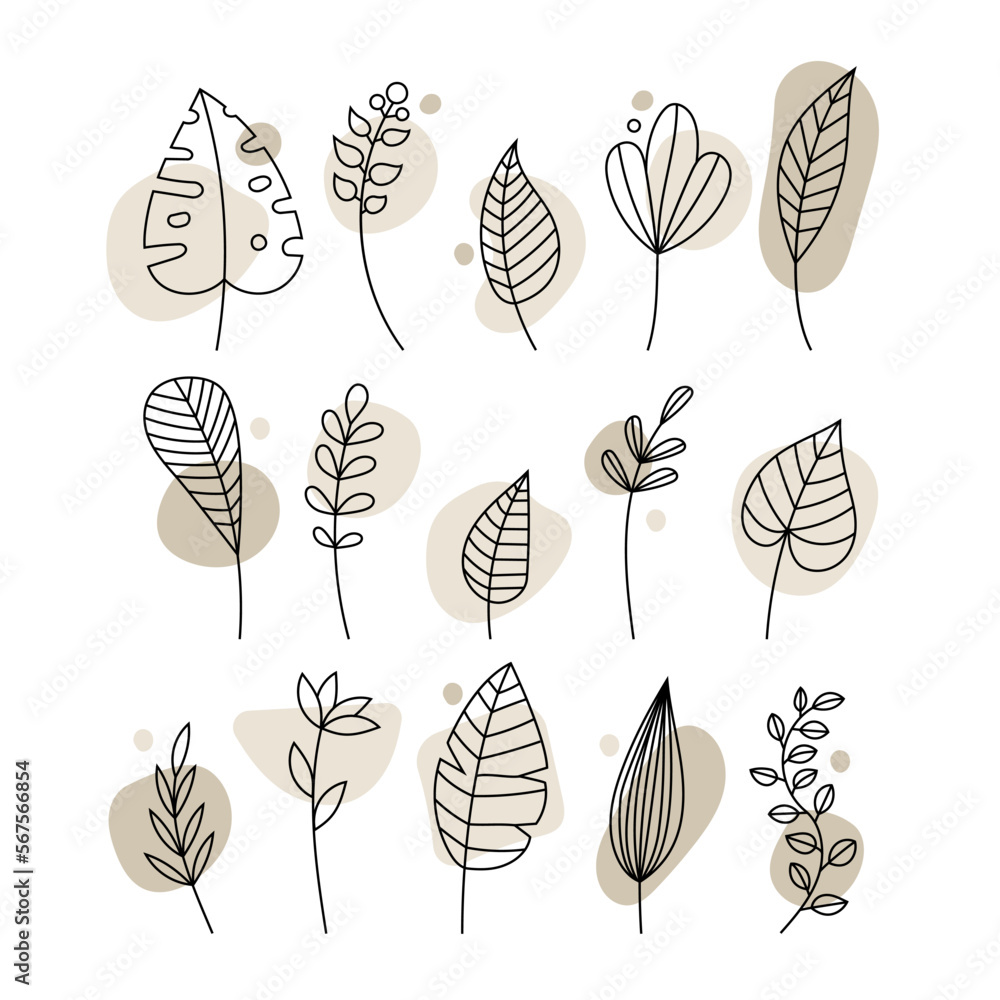Poster vector illustration, outlines of petals with colored delicate abstract elements. set of linear twigs