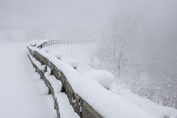 Fence in Snow