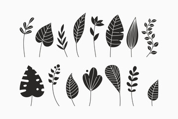 Simple floral vector drawing. Set of twigs, leaves, herbs, branch. Black silhouette on a white background. For spring summer design, decoration, pattern making
