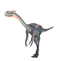 Gigantoraptor dinosaur isolated 3d render