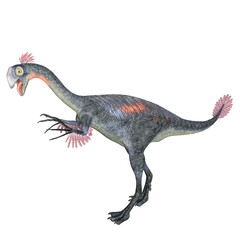 Gigantoraptor dinosaur isolated 3d render