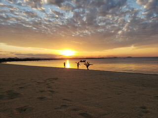 Obraz premium sunset on the beach