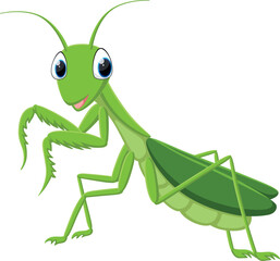 Cartoon green mantis isolated on white