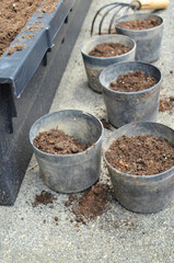 Filling several pots with soil. Mini rake at the bottom. Tools for planting.  Gardening.