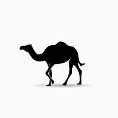 black and white camel silhouette or icon, on white background. icon illustration