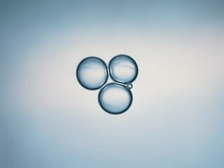 Macro close up of soap bubbles look like scientific image of cell and cell membrane
