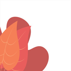 Aesthetic Plant Corner