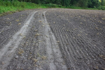 Gray soil on a plowed field - the location of the ancient settlement