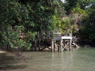 Fototapeta na wymiar A wooden jetty projects out from tropical forestry into the ocean supported on stilts