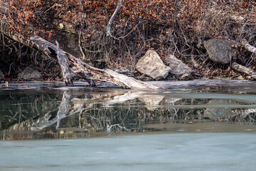 Reflection on the water