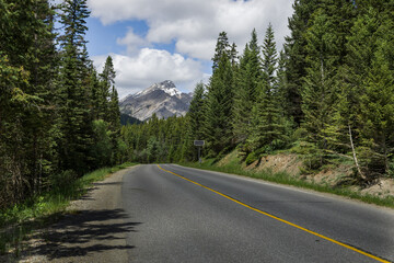 Mountain landscape - coniferous forest, beautiful blue sky with clouds. Summer tourism in nature. Banff, Alberta, Canada. Rocky Mountains