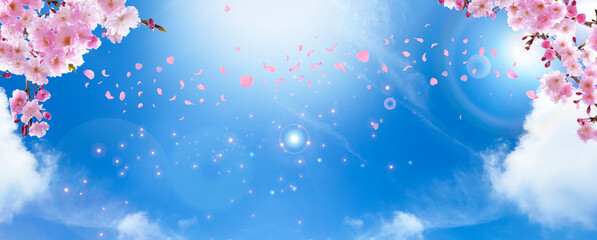 キラキラと光る空と春の桜　舞い散る花びら © skyhigh.ring