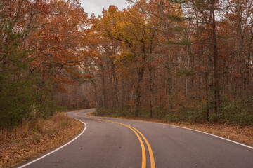 Fototapeta premium road in autumn forest