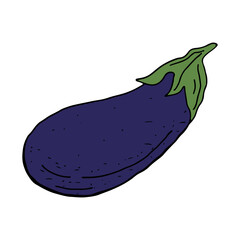 Eggplant on an isolated white background in a hand drawn style.