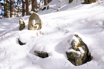 雪景色　snow scene