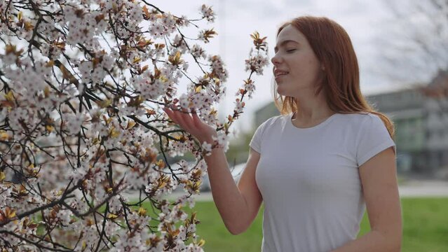 Charming young lady smelling cherry blossoming tree in beautiful park. Adorable positive female holding flowering branches and enjoying pleasant scent. For dvertisement of an anti-allergic drug