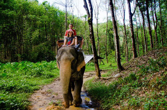Pretty young girl and her dad doing an elephant trek in Khao Sok National Park in Thailand