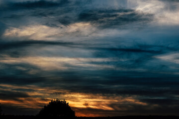 cielo