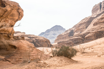 pustynny krajobraz piach - obrazy, fototapety, plakaty