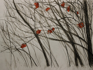 A group of mapple trees with sparse red leaves. Autumn watercolor and ink illustration in asian style
