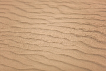 Top view of beautiful golden sand dunes with ripples in desert