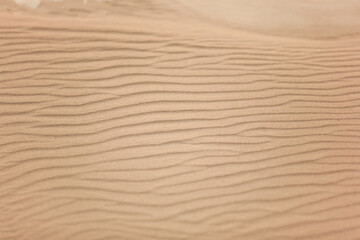 Top view of beautiful golden sand dunes with ripples in desert