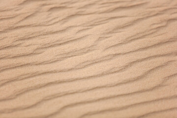 Top view of beautiful golden sand dunes with ripples in desert