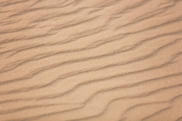 Fototapeta na wymiar Top view of beautiful golden sand dunes with ripples in desert