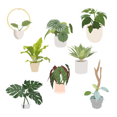 A vector set of green plants - botanical illustration