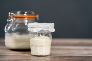 Sourdough starter