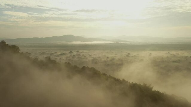 Aerial drone view of Sigiriya rock in Sri Lanka at sunrise. Nature, jungle, clouds 