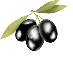 Black olive with leafs PNG