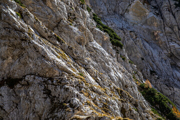 Hiking tour across Plemenice to Triglav	