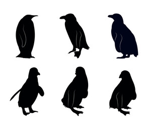 Fototapeta premium Collection of black silhouettes penguins