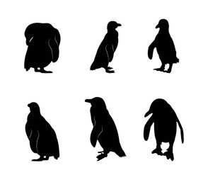 Fototapeta premium Collection of black silhouettes penguins