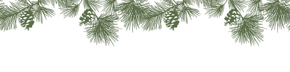 Seamless vector border with pine branches and cones