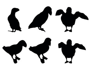 Collection of black silhouettes puffins