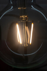Shining light bulb lighting inside a glass bulb