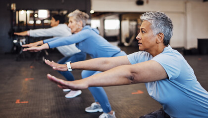 Teamwork, exercise and senior women stretching arms in gym for flexibility, health and wellness. Sports, training or group of elderly retired female friends workout or exercising together for fitness