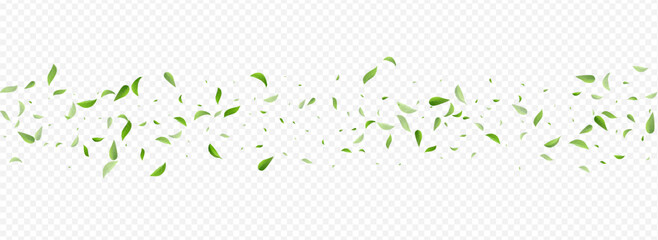 Mint Greens Realistic Vector Panoramic