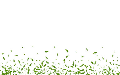 Forest Leaves Tea Vector White Background