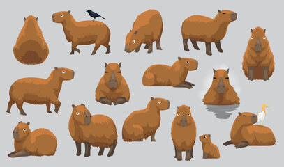 Capybara Various Cute Cartoon Poses Vector Illustration