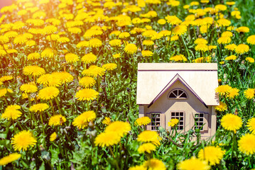 Obraz premium The symbol of the house stands among the yellow dandelions 