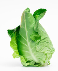 Spitzkohl