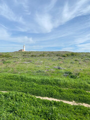 Fototapeta na wymiar A lighthouse standing on a green hill overgrown with grass.